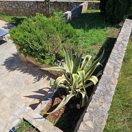 Crogo Avena Villa Barat (Porec)